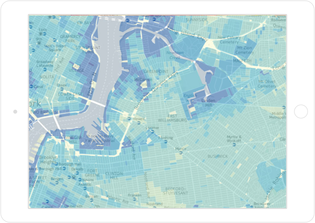 Uncover vulnerability and forecast risk